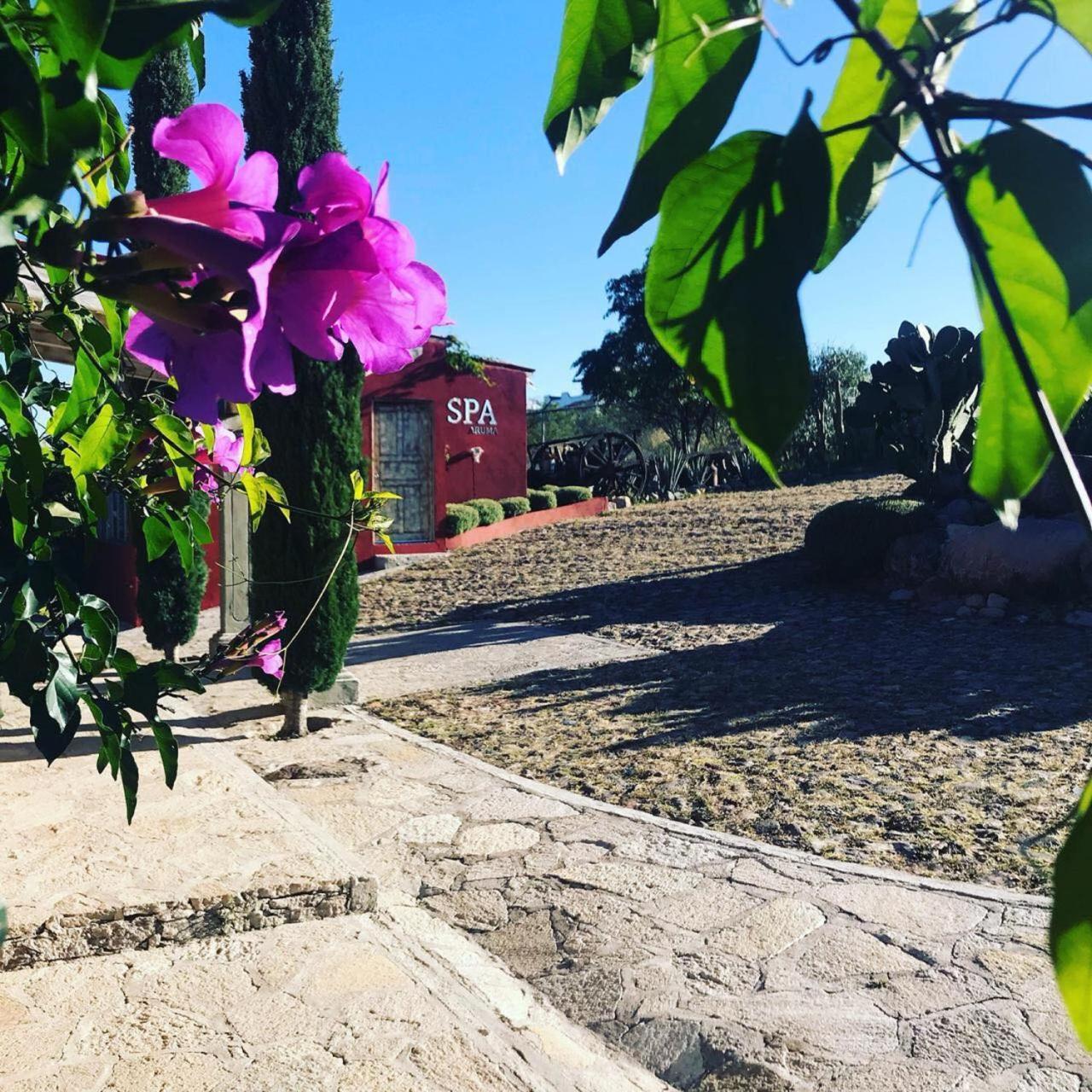 View Hotel Boutique Don Juan Xido De Abajo Екстер'єр фото